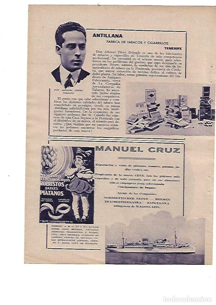 Colecionismo: A&Ntilde;O 1934 RECORTE PRENSA PUBLICIDAD ANTILLANA FABRICA TABACO TENERIFE ALFONSO PEREZ DELGADO