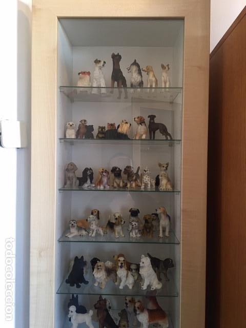Coleccionismo: Colecci&oacute;n completa Mis amigos los perros - Foto 4