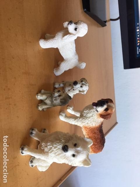 Coleccionismo: Colecci&oacute;n completa Mis amigos los perros - Foto 5