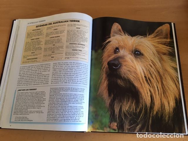 Coleccionismo: Colecci&oacute;n completa Mis amigos los perros - Foto 8