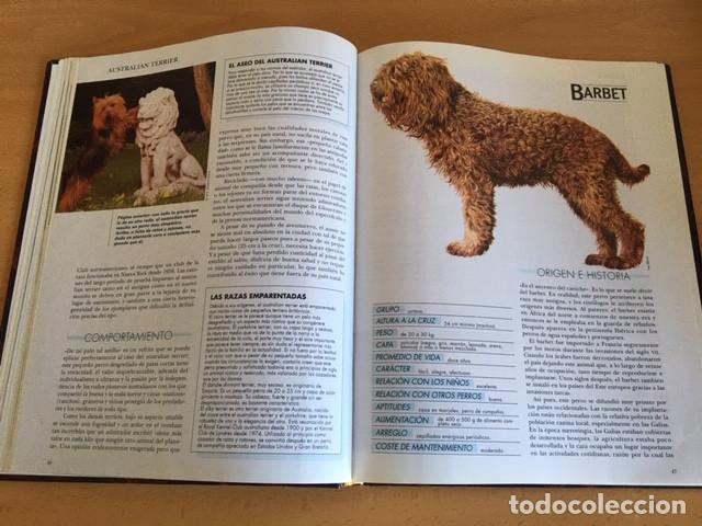Coleccionismo: Colecci&oacute;n completa Mis amigos los perros - Foto 9