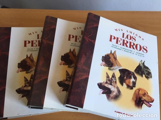 Coleccionismo: Colecci&oacute;n completa Mis amigos los perros - Foto 10