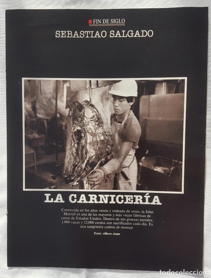Coleccionismo: CAP&Iacute;TULO F&Iacute;N DE SIGLO: SEBASTIAO SALGADO. LA CARNICER&Iacute;A - Foto 1