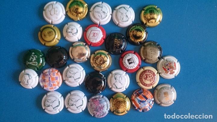 Coleccionismo: LOTE CHAPAS CAVA SIDRA ETC