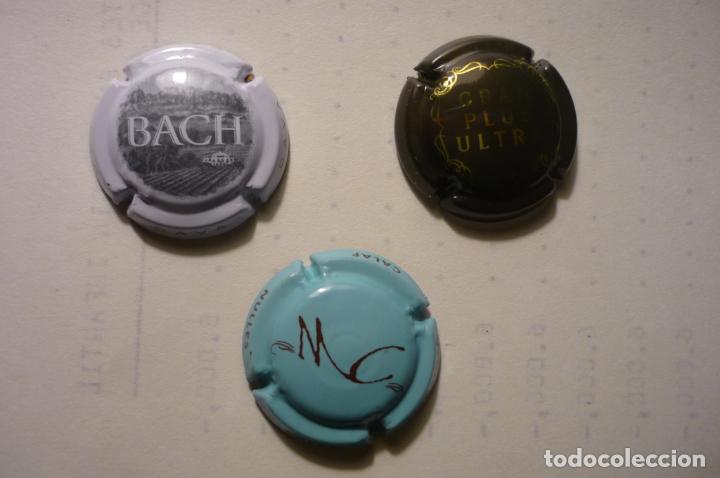 Coleccionismo: lote chapas de cava