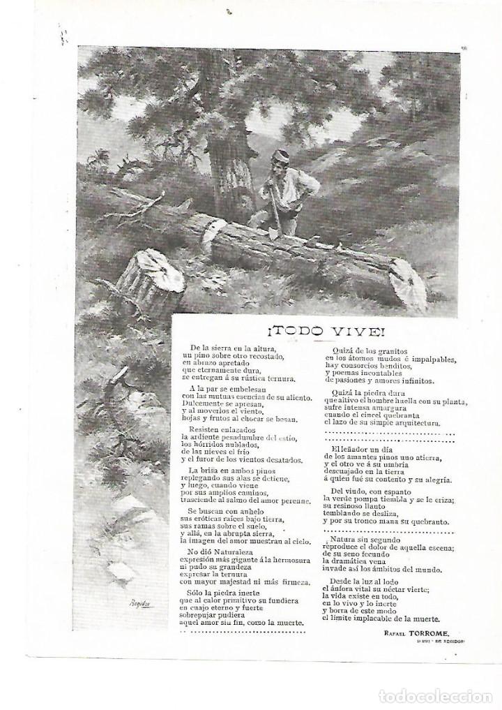 Coleccionismo: A&Ntilde;O 1909 RECORTE PRENSA POESIA TODO VIVE POR RAFAEL TORROME DIBUJO REGIDOR LE&Ntilde;ADOR ILUSTRACION