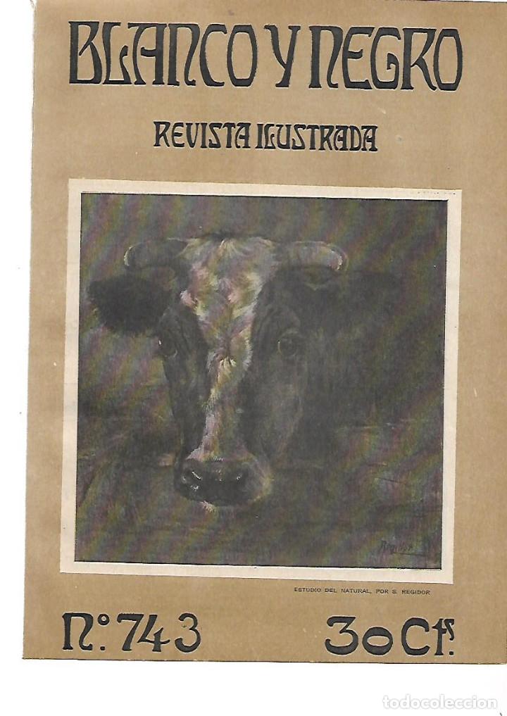 Collecting paper: A&Ntilde;O 1905 RECORTE PRENSA PINTURA DIBUJO VACA ESTUDIO DEL NATURAL POR REGIDOR