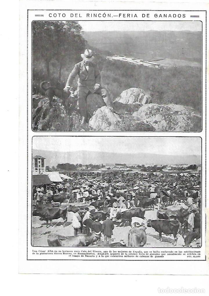 Colecionismo: A&Ntilde;O 1913 RECORTE PRENSA CESAR ALBA FINCA COTO DEL RINCON SIERRA MORENA HORNACHUELOS