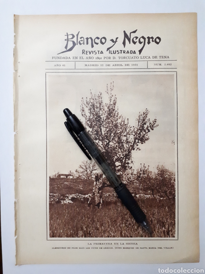 Coleccionismo: LA PRIMAVERA EN LA SIERRA. Almendros en flor. LOS PICOS DE GREDOS. 1931