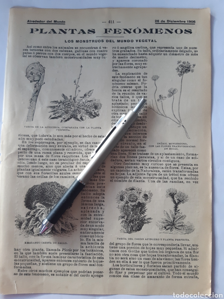 Coleccionismo: Plantas fen&oacute;menos. / Tortugas, langostas y violines / sombreros magn&eacute;ticos. 1906