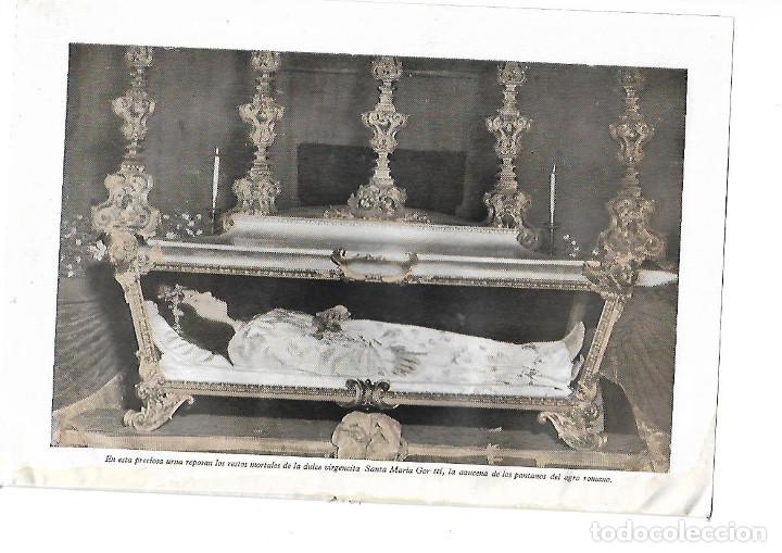 Colecionismo: A&Ntilde;O 1951 RECORTE PRENSA LAMINA PINTURA URNA RESTOS MORTALES SANTA MARIA GORETTI