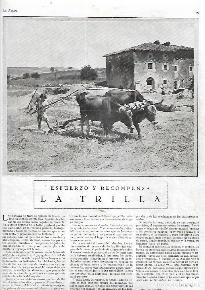 Collecting paper: A&Ntilde;O 1928 RECORTE PRENSA LA TRILLA TRABAJOS DEL CAMPO AGRICULTURA BUEYES FOTO DIAZ CASARIEGO