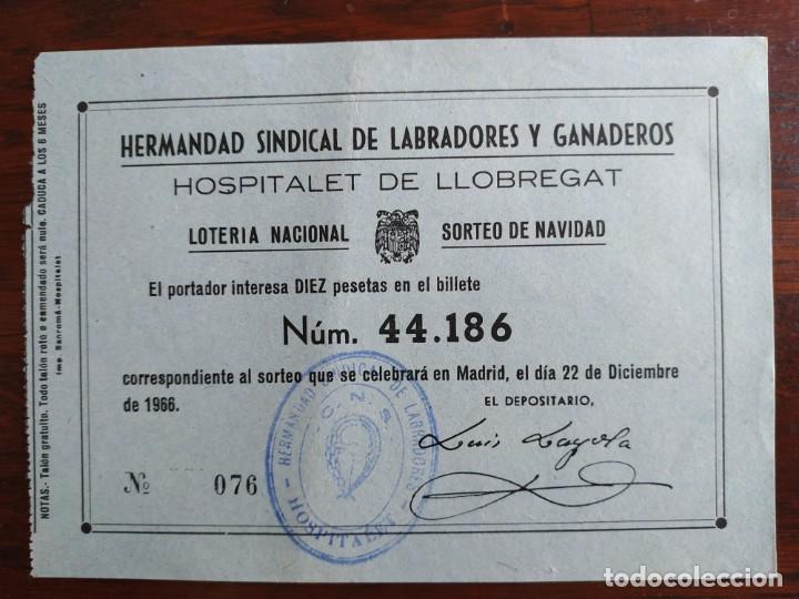 Collectionnisme: 1 billete de loter&iacute;a 1966 de la Hermandad sindical de labradores y ganaderos Hospitalet de llobregat