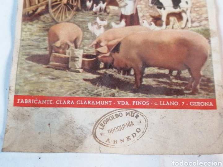 Coleccionismo: Polvos pinos, Gerona - Foto 3