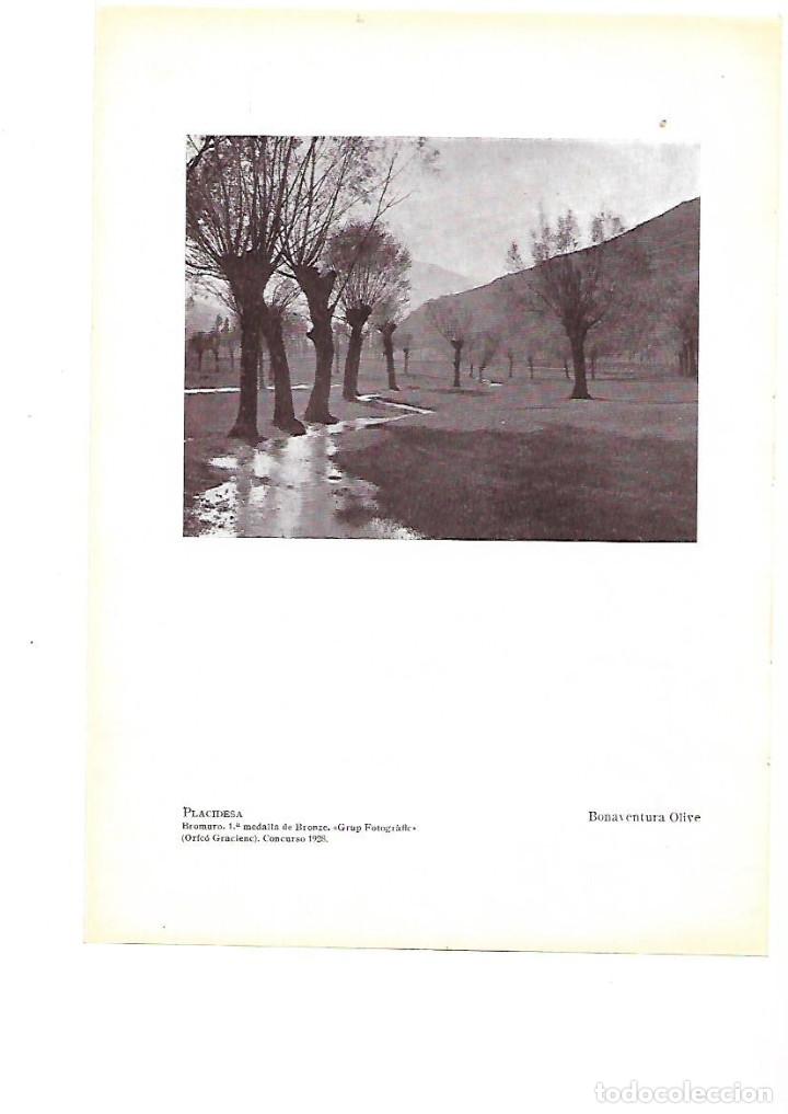 Collectionnisme: &Ntilde;O 1929 LAMINA FOTOGRAFIA  PLACIDESA BONAVENTURA OLIVE MEDALLA BRONZE ORFEO GRACIENC GRUP FOTOGRAFIC