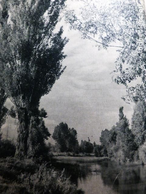 Colecionismo: DURANA ALAVA EL RIO ZADORRA ANTIGUA LAMINA A&Ntilde;OS 50