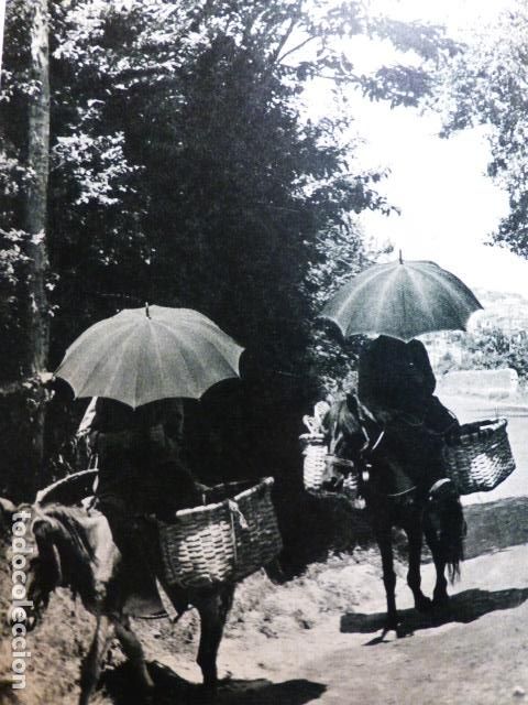 Coleccionismo: MUNDACA VIZCAYA CAMPESINAS ANTIGUA LAMINA A&Ntilde;OS 50