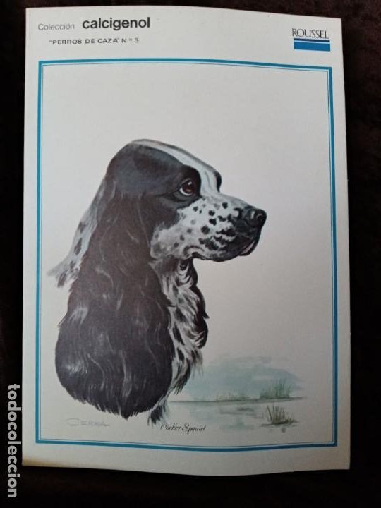 Coleccionismo: L&Aacute;MINA / * PERROS DE CAZA *. PUBLICIDAD AL DORSO. A&Ntilde;O 1974
