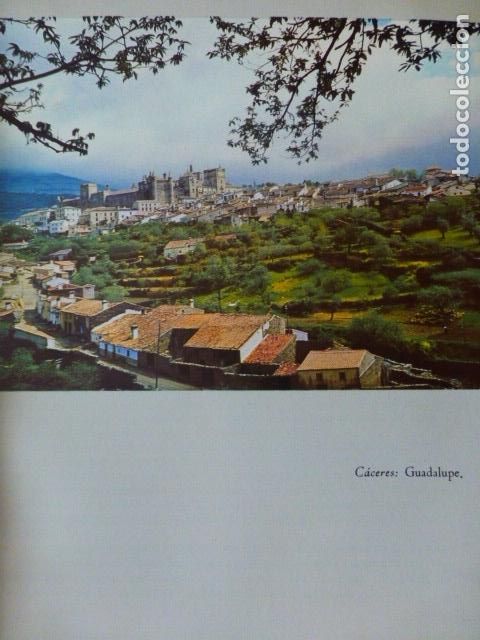 Coleccionismo: GUADALUPE CACERES VISTA ANTIGUA LAMINA A&Ntilde;OS 50