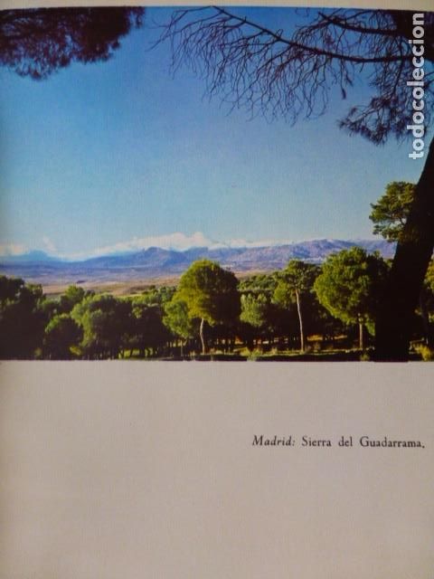 Coleccionismo: SIERRA DE GUADARRAMA MADRID VISTA ANTIGUA LAMINA A&Ntilde;OS 50