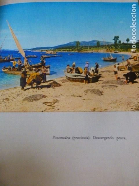 Coleccionismo: PONTEVEDRA DESCARGANDO LA PESCA ANTIGUA LAMINA A&Ntilde;OS 50
