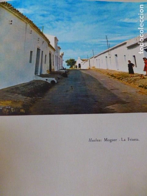 Collecting paper: MOGUEL HUELVA LA FRISETA ANTIGUA LAMINA A&Ntilde;OS 50