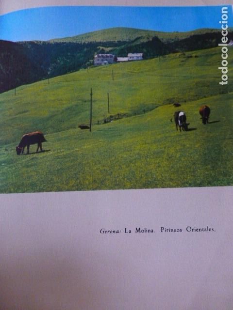 Collectionnisme: LA MOLINA GERONA GIRONA PIRINEOS ORIENTALES ANTIGUA LAMINA A&Ntilde;OS 50