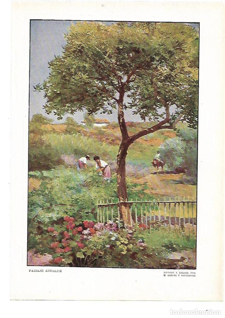 Colecionismo: A&Ntilde;O 1915 RECORTE PRENSA PINTURA LAMINA DIBUJO PAISAJE ANDALUZ HUERTO Y JARDIN GARCIA RODRIGUEZ