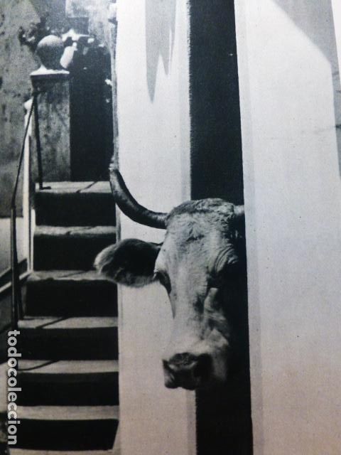 Coleccionismo: EL BARQUERO LA CORU&Ntilde;A DETALLE URBANO ANTIGUA LAMINA A&Ntilde;OS 50