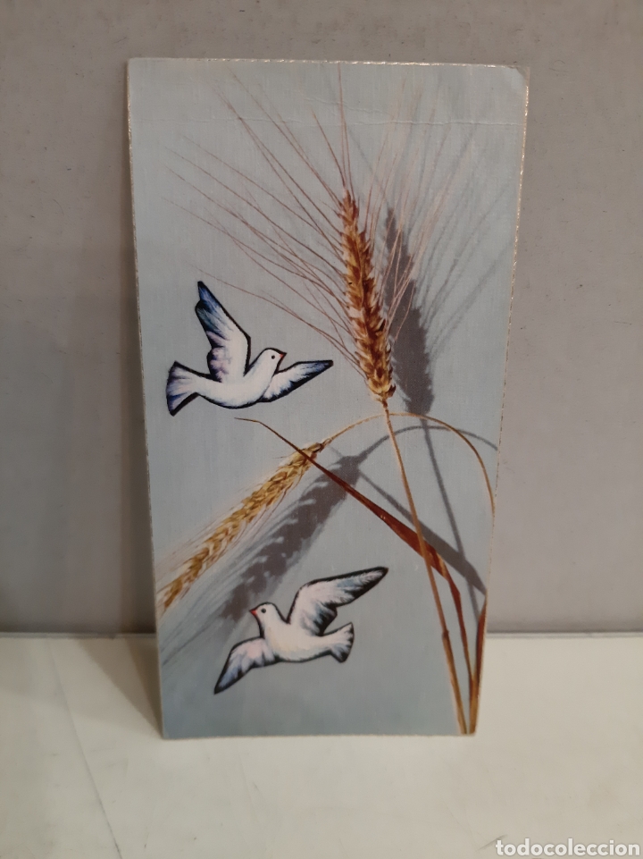 Collezionismo: 1966 zrabade Lugo primera comunion San vicente iglesia Argenta 3