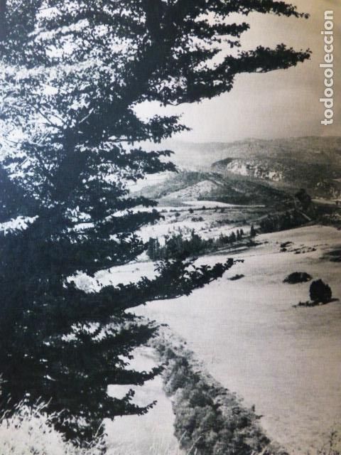 Coleccionismo: ITOIZ NAVARRA VISTA ANTIGUA LAMINA A&Ntilde;OS 50