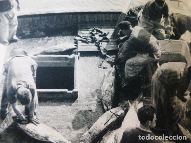 Colecionismo: SAN JUAN DE LUZ PAIS VASCO ESCENA EN EL PUERTO ANTIGUA LAMINA A&Ntilde;OS 50