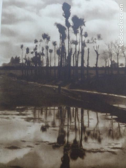 Sammelleidenschaft Papier: CARMONA SEVILLA VISTA DE LA VEGA ANTIGUA LAMINA HUECOGRABADO A&Ntilde;OS 40