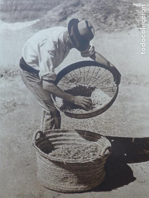 Coleccionismo: SEVILLA AVENTANDO EL GRANO ANTIGUA LAMINA HUECOGRABADO A&Ntilde;OS 40