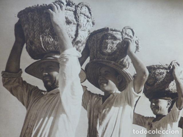Coleccionismo: SEVILLA GRUPA DE CARGADORES DE UVA ANTIGUA LAMINA HUECOGRABADO A&Ntilde;OS 40