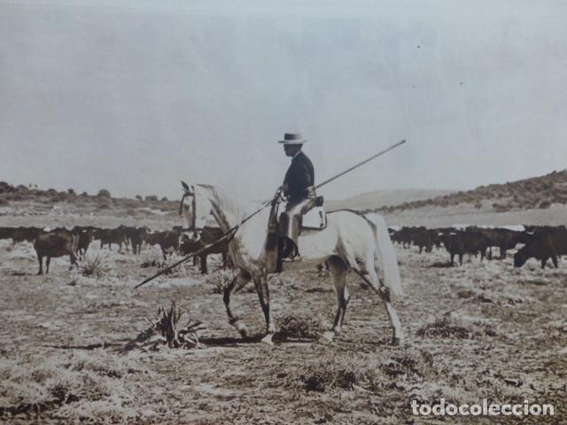 Coleccionismo: SEVILLA GANADERO AVISTANDO SUS REDES ANTIGUA LAMINA HUECOGRABADO A&Ntilde;OS 40