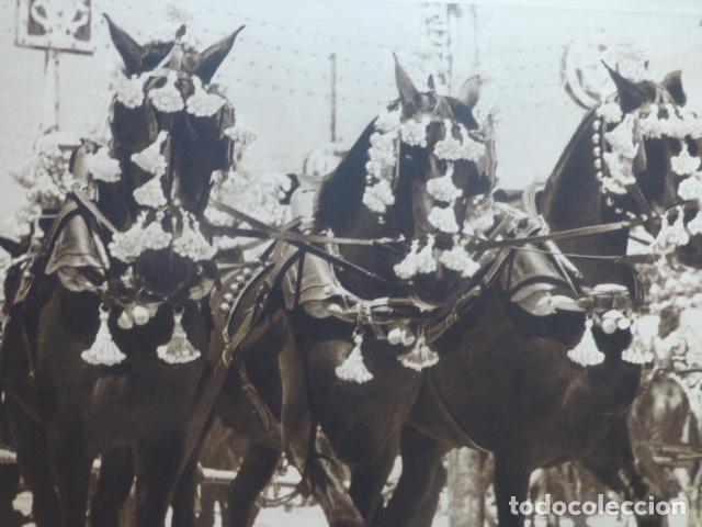 Coleccionismo: SEVILA LA FERIA GRUPO DE CABALLOS ANTIGUA LAMINA HUECOGRABADO A&Ntilde;OS 40
