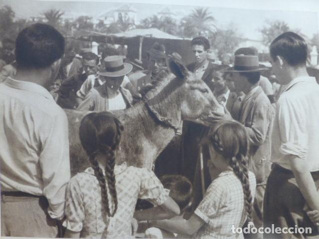 Collecting paper: SEVILA LA FERIA FERIA DE GANADO EN TRATOS PARA LA VENTA ANTIGUA LAMINA HUECOGRABADO A&Ntilde;OS 40