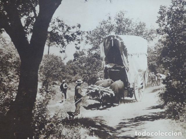 Collecting paper: ROMERIA DEL ROCIO CARRETA ANTIGUA LAMINA HUECOGRABADO A&Ntilde;OS 40