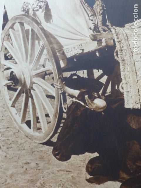 Collecting paper: ALMONTE HUELVA ROMERIA DEL ROCIO JUNTO A CARRETA ANTIGUA LAMINA HUECOGRABADO A&Ntilde;OS 40