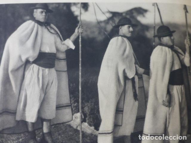 Sammelleidenschaft Papier: TENERIFE CAMELLEROS ANTIGUA LAMINA HUECOGRABADO A&Ntilde;OS 40