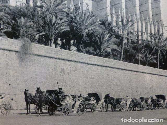 Colecionismo: PALMA DE MALLORCA COCHES CABALLOS JUNTO A LA CATEDRAL ANTIGUA LAMINA A&Ntilde;OS 50