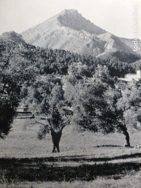 Collectionnisme: EL GALATZO MALLORCA PAISAJE ANTIGUA LAMINA A&Ntilde;OS 50