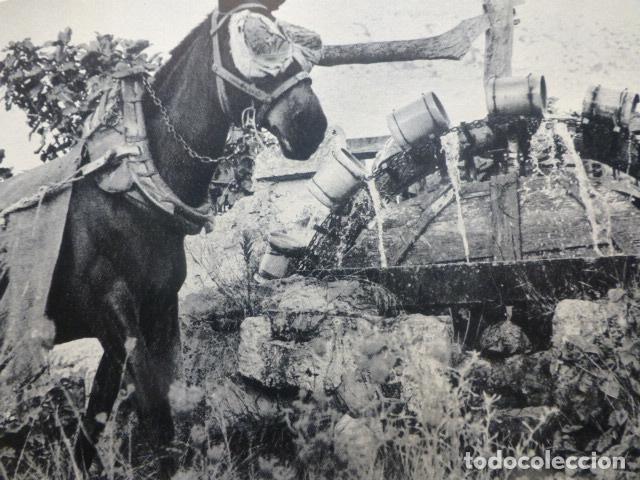 Collectionnisme: MALLORCA UNA NORIA ANTIGUA LAMINA A&Ntilde;OS 50