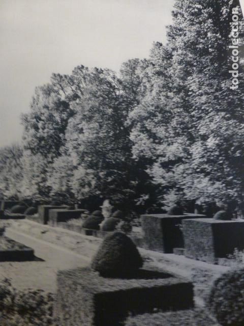 Coleccionismo: LA GRANJA SEGOVIA JARDINES ANTIGUA LAMINA HUECOGRABADO A&Ntilde;OS 50