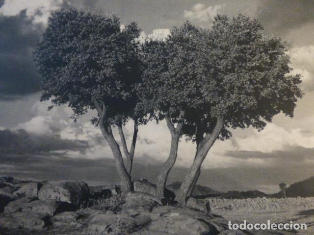 Coleccionismo: GREDOS AVILA PAISAJE ANTIGUA LAMINA HUECOGRABADO A&Ntilde;OS 50