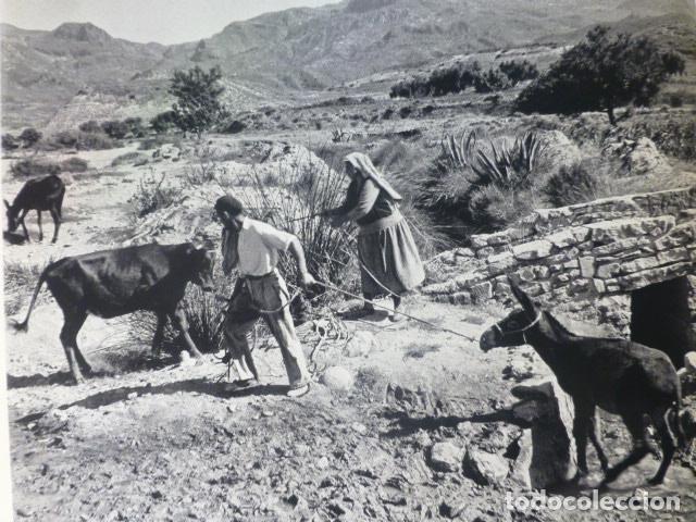 Sammelleidenschaft Papier: ALMERIA ALREDEDORES CAMPESINOS ANTIGUA LAMINA HUECOGRABADO A&Ntilde;OS 50