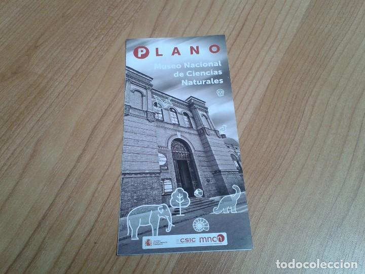 Coleccionismo: Plano -- Museo Nacional de Ciencias Naturales -- Espa&ntilde;a