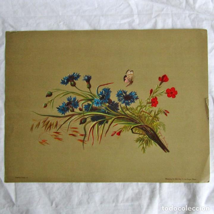 Sammelleidenschaft Papier: Antigua l&aacute;mina de flores, Monrocq Fr. Edit. Paris
