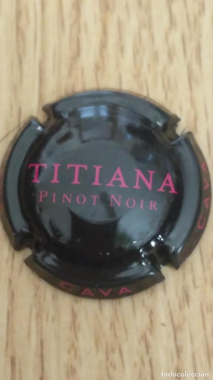 Coleccionismo: CHAPA DE CAVA. TITIANA